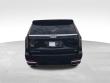 2023 Cadillac Escalade ESV Premium SUV