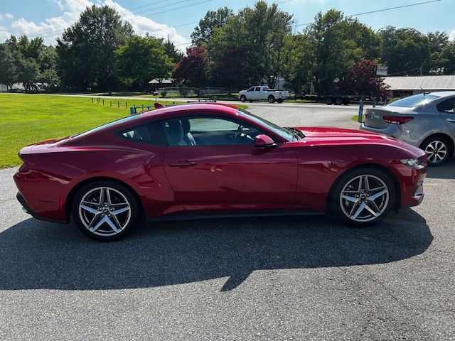 2024 Ford Mustang EcoBoost Premium photo 3