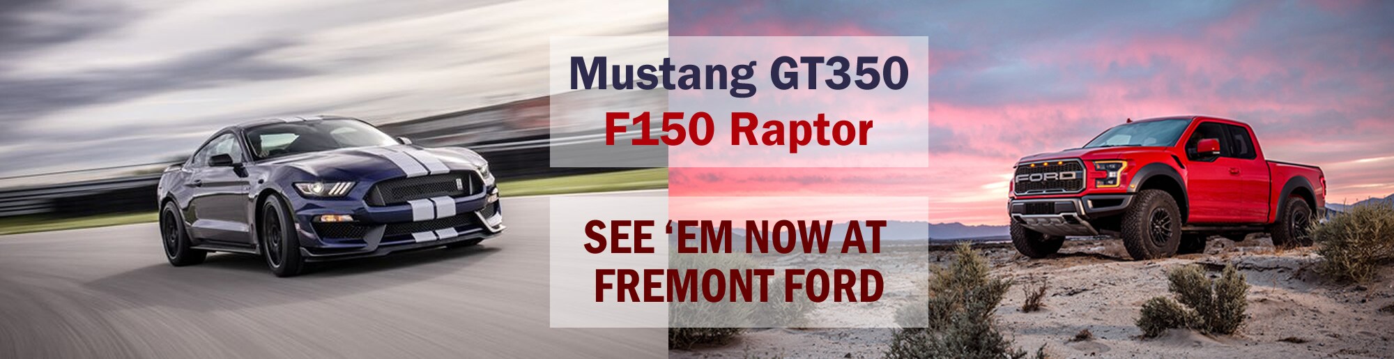 Fremont Car Dealers >> New 2018 2019 Ford And Used Car Dealer Serving Newark Ca Fremont Car Dealers >> New 2018 2019 Ford And Used Car Dealer Serving Newark Ca