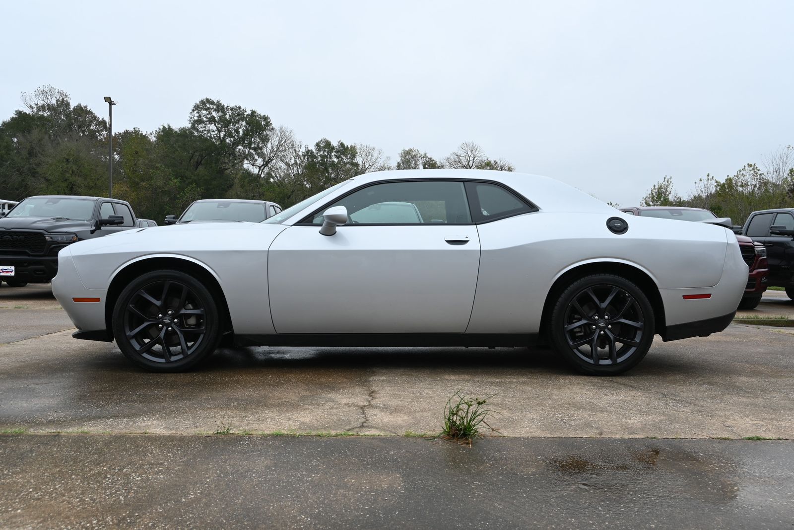 2022 Dodge Challenger SXT photo 3