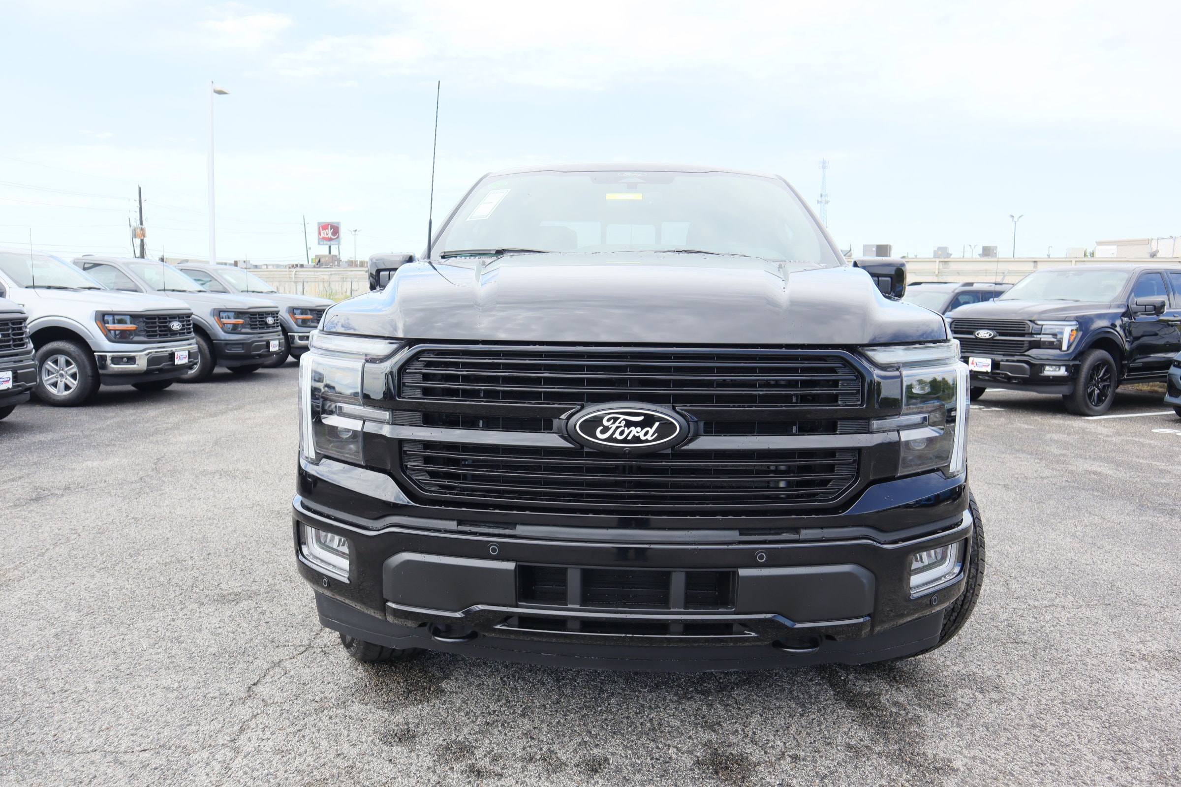 2025 Ford F-150 Platinum - Photo 9