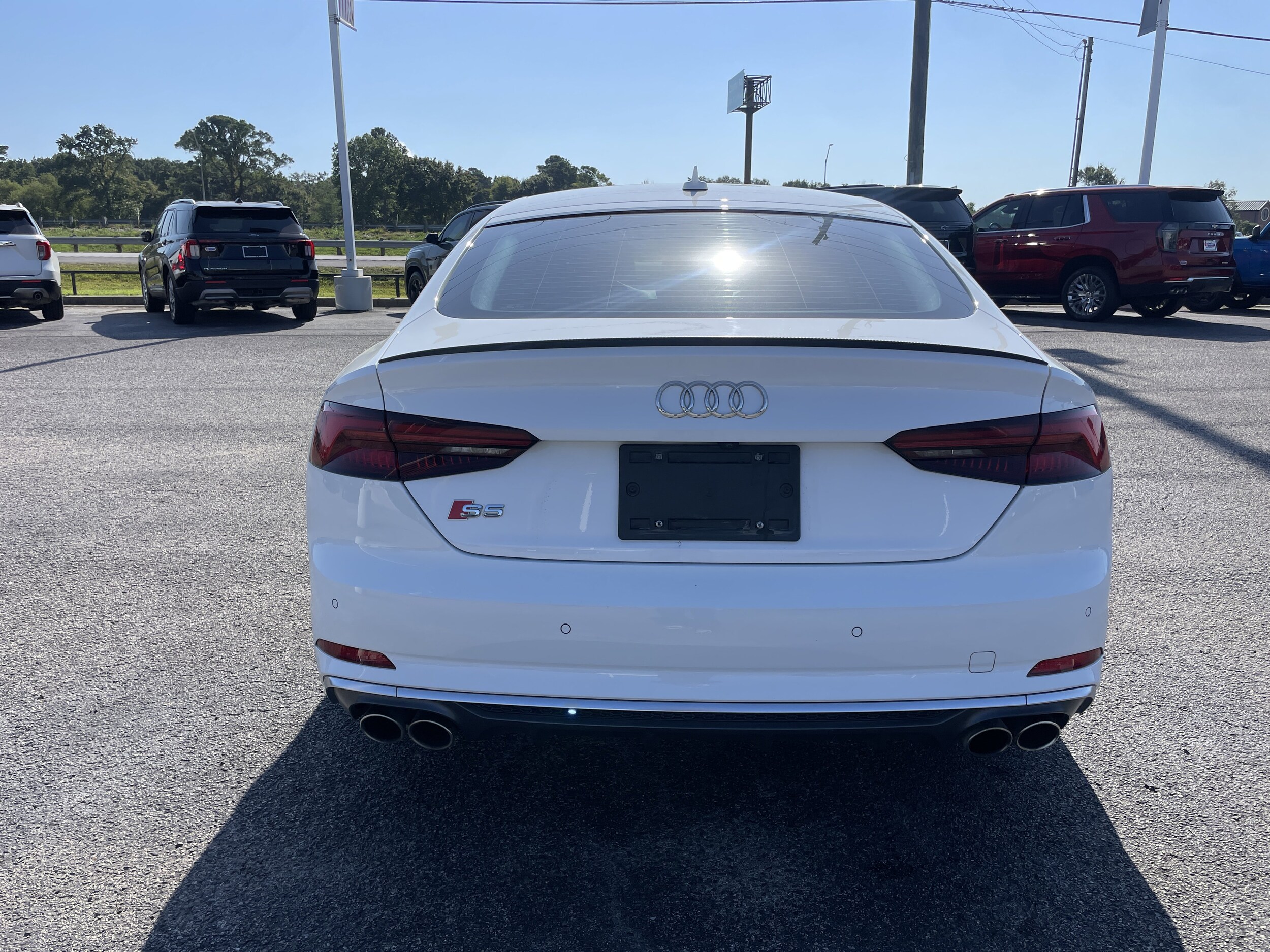 2019 Audi S5 Premium photo 3