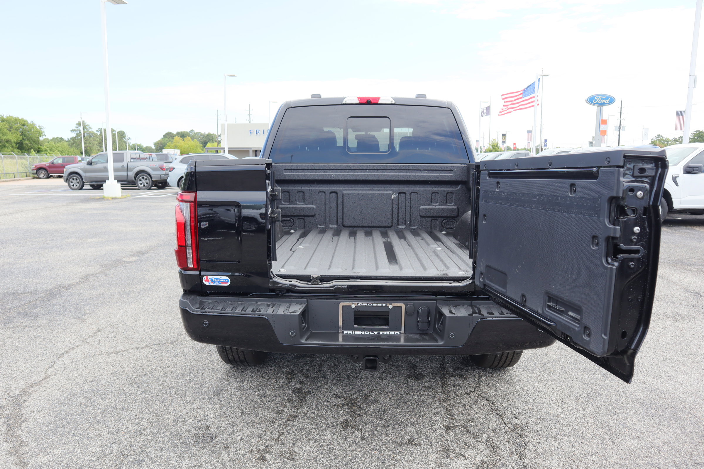 2025 Ford F-150 Platinum - Photo 6