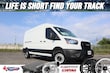 Ford Transit-250 Cargo