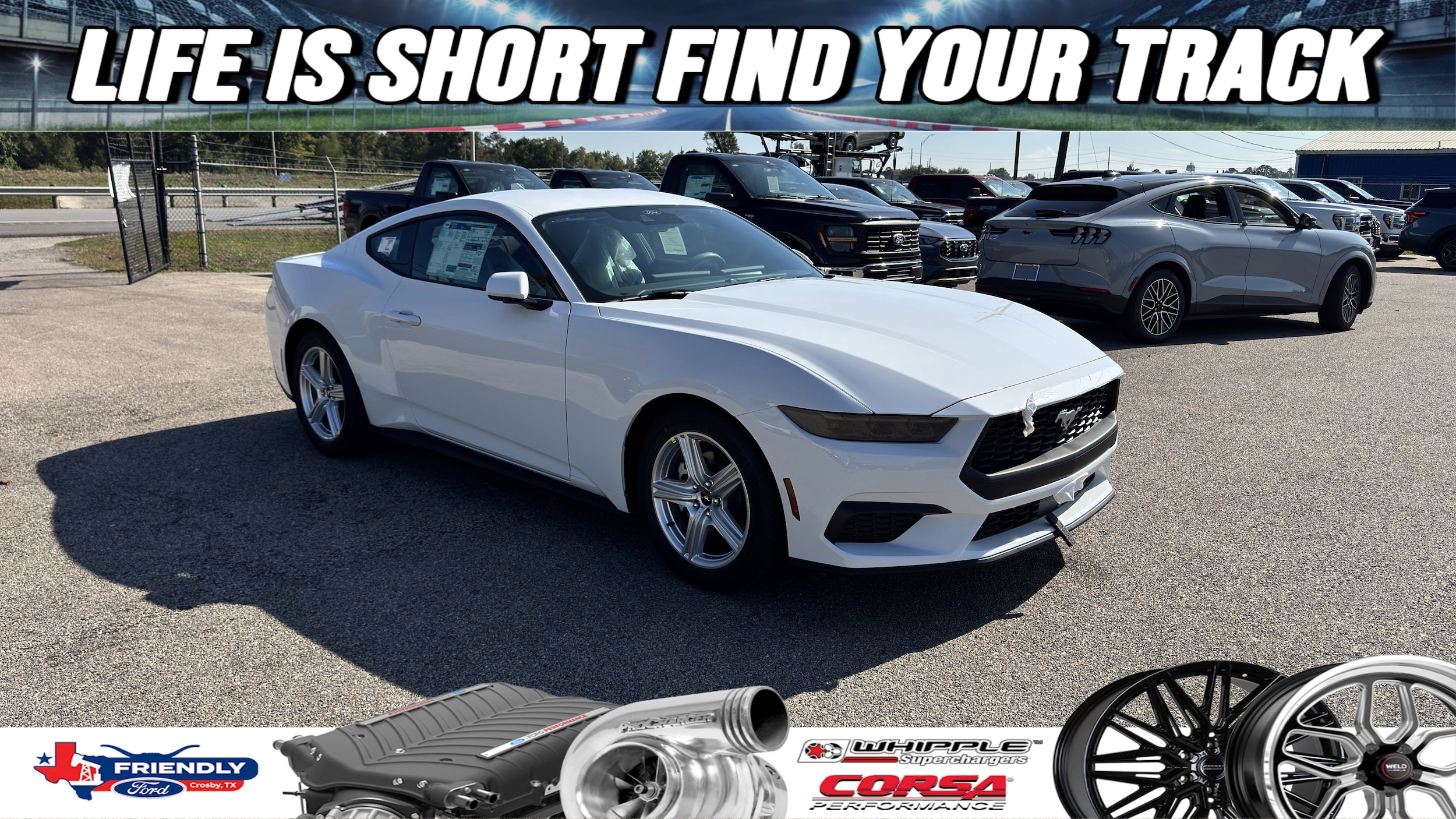 2026 Ford Mustang Coupe  2026 Ford Mustang Coupe