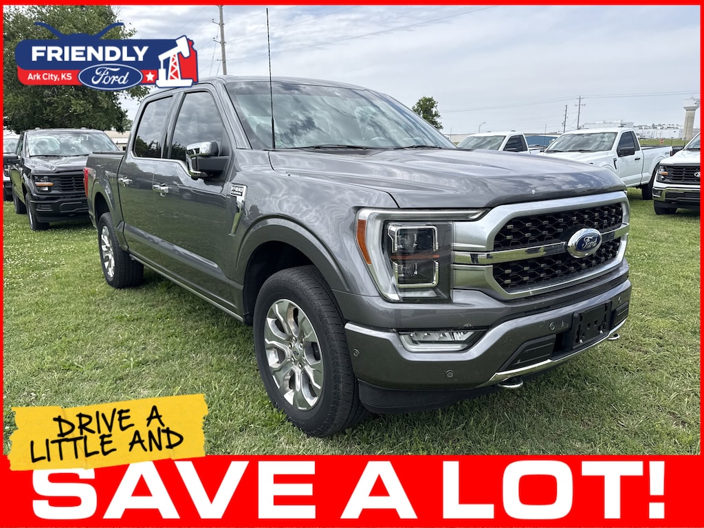 Used 2022 Ford F-150 Platinum