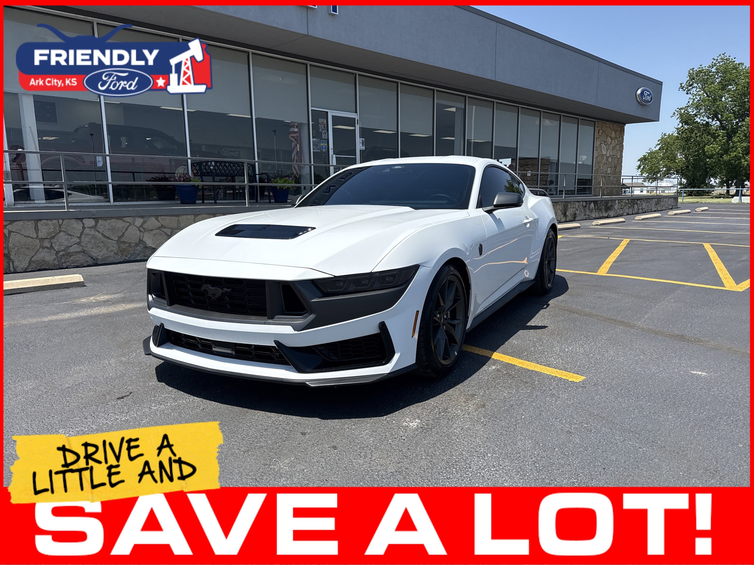 2025 Ford Mustang Dark Horse's photo