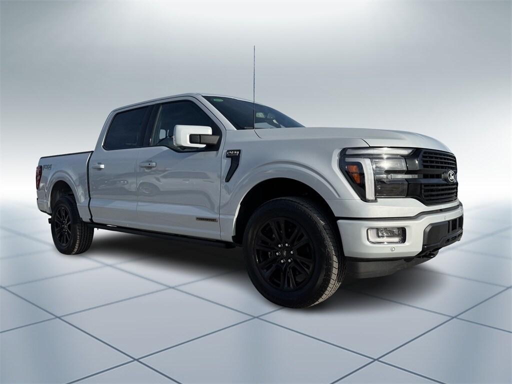 2025 Ford F-150 Platinum photo 2