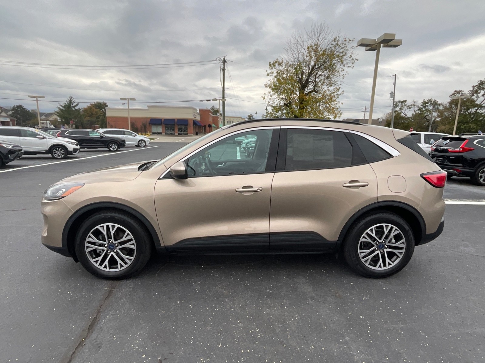Used 2020 Ford Escape SEL SUV