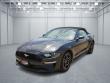 Used 2023 Ford Mustang  Convertible