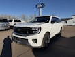  Ford Expedition Max