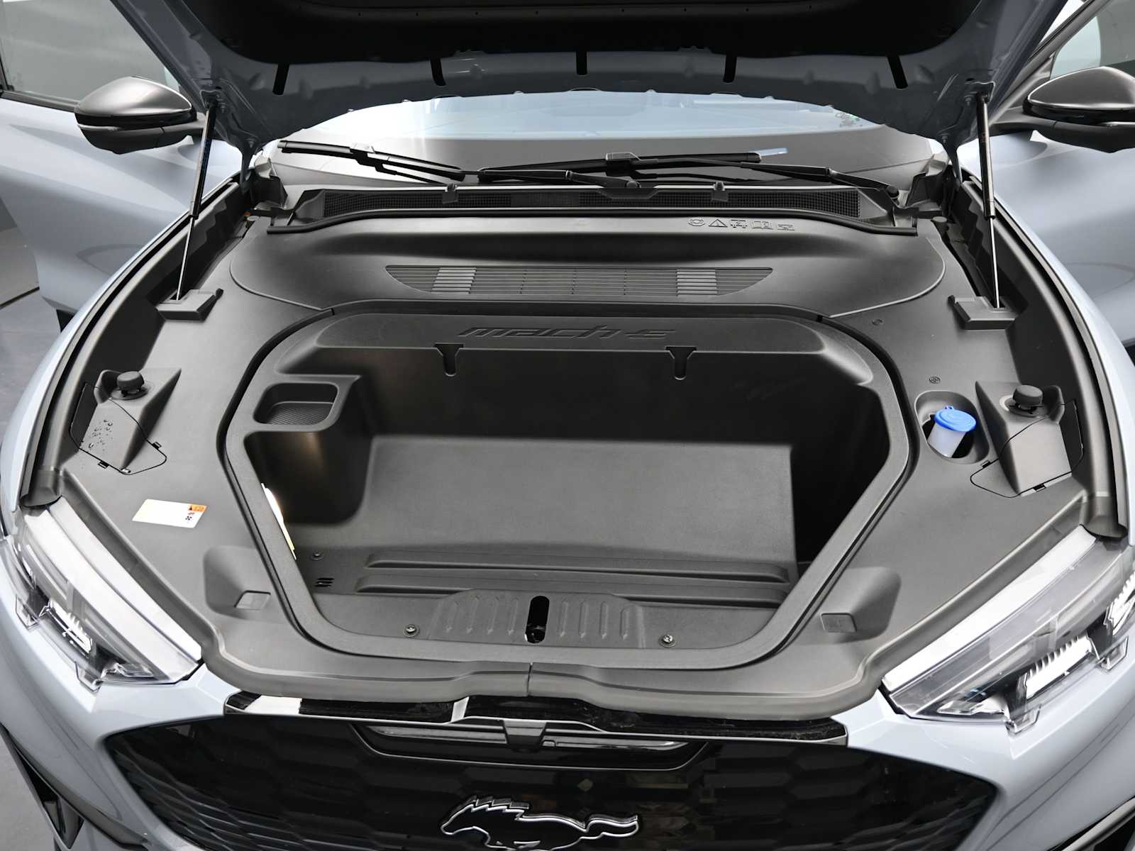 2025 Ford Mustang Mach-E GT - Photo 12