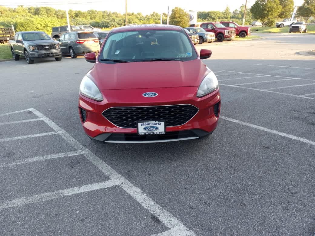 Used 2020 Ford Escape SE with VIN 1FMCU9G69LUB38984 for sale in Front Royal, VA
