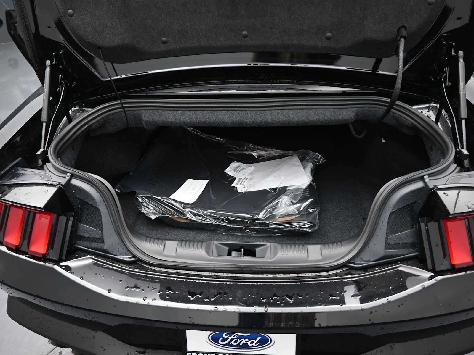 2025 Ford Mustang GT Premium Convertible - Photo 16