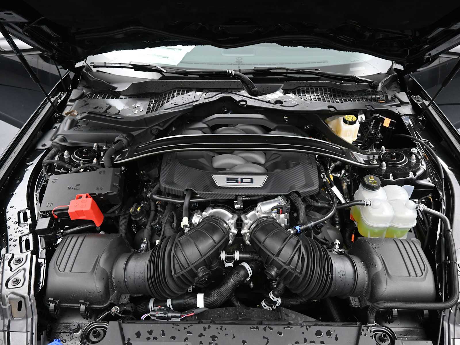 2025 Ford Mustang GT Premium Convertible - Photo 12