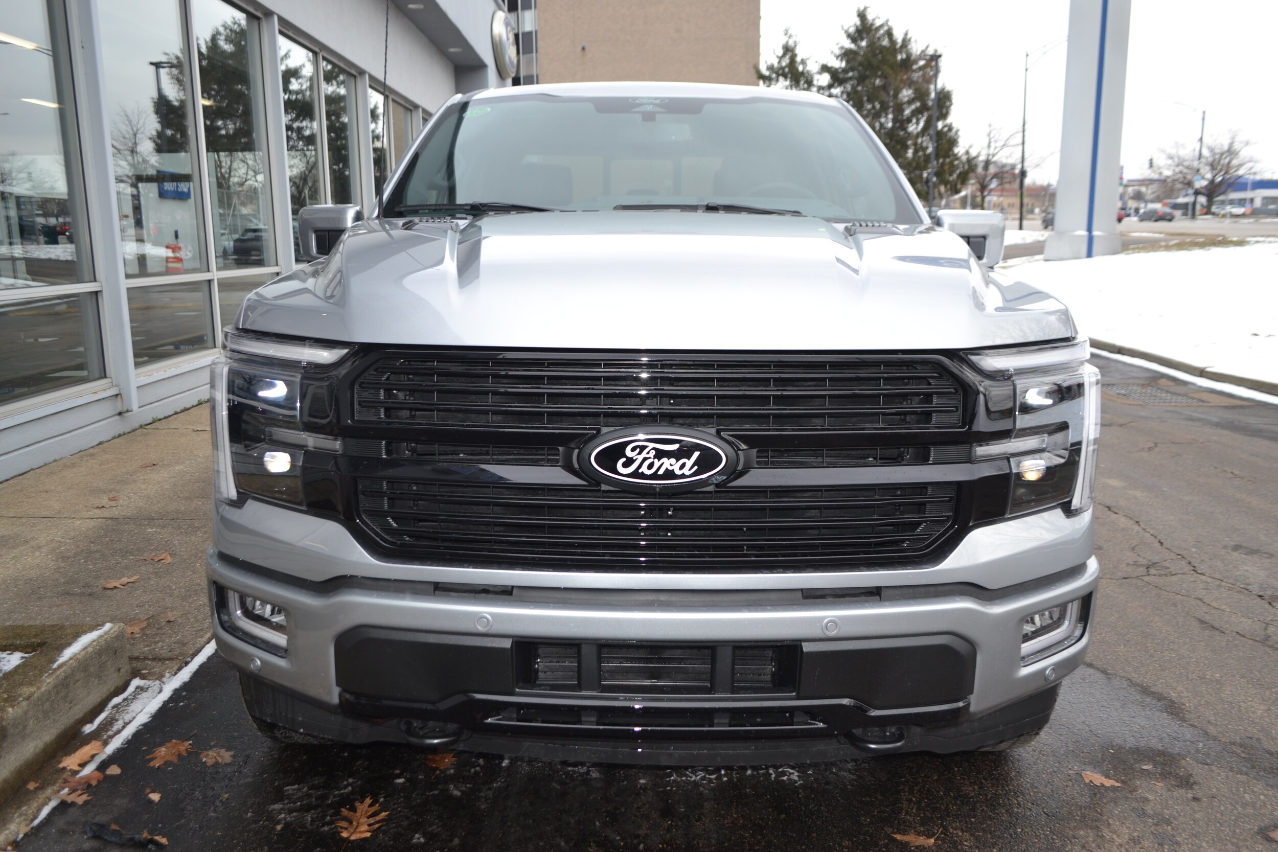 2025 Ford F-150 Platinum photo 3