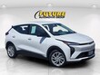  Chevrolet Bolt