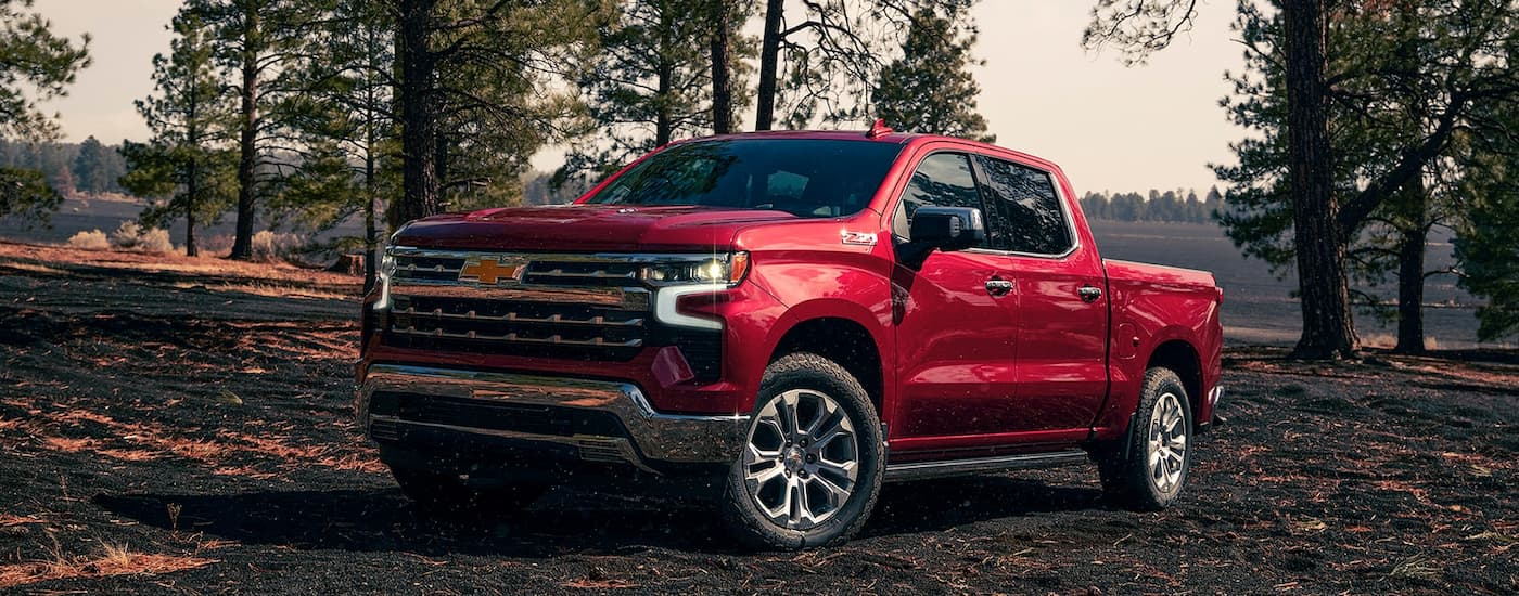 A red 2023 Chevy Silverado 1500 Z71 parked in a field with trees.