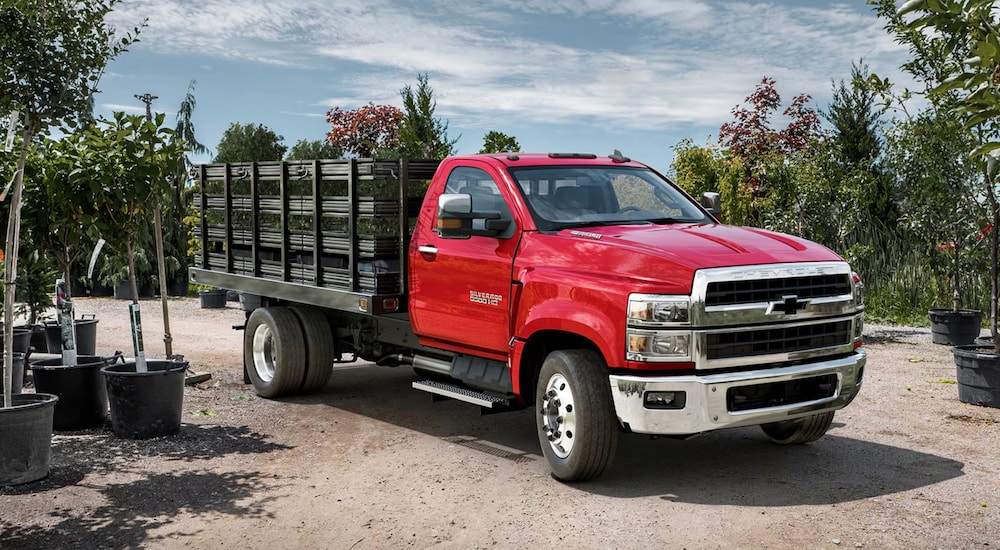 A red 2024 Chevy Silverado 5500 HD parked next to potted trees in a nursery.
