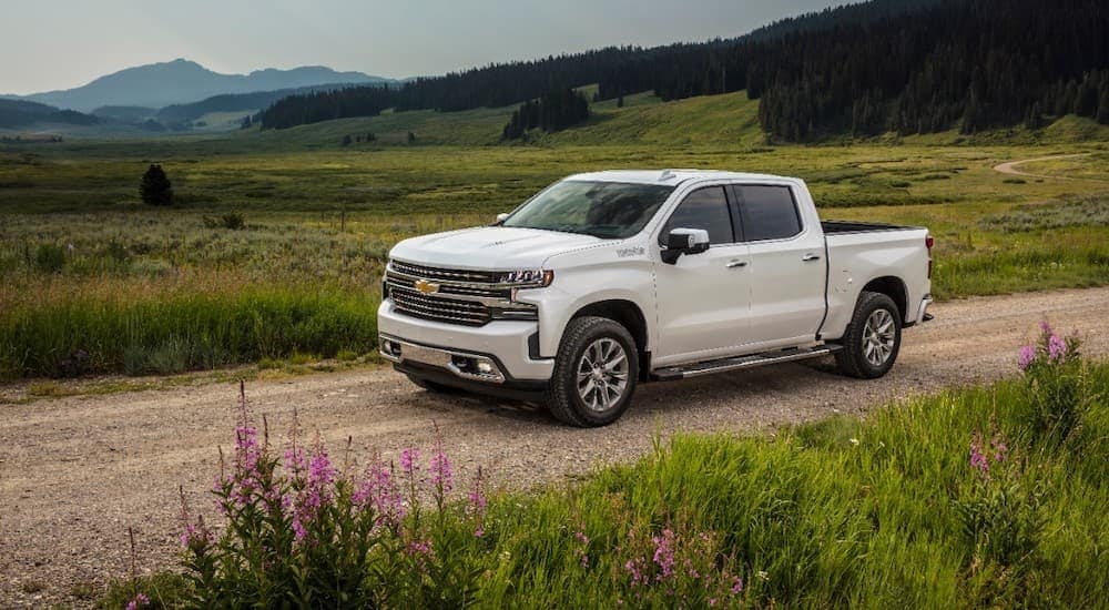 A white 2019 Chevy Silverado 1500 High Country driving through a meadow with wildflowers