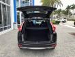 2019 Honda CR-V EX-L SUV
