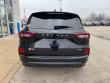 2025 Ford Escape ST-Line Elite SUV