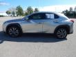 2019 LEXUS UX 200 F Sport SUV