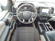 2019 Ford F-150 XL Truck