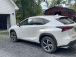 2018 LEXUS NX 300 F Sport Bass Boat