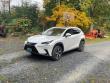 2018 LEXUS NX 300 F Sport Bass Boat