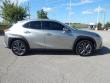 2019 LEXUS UX 200 F Sport SUV