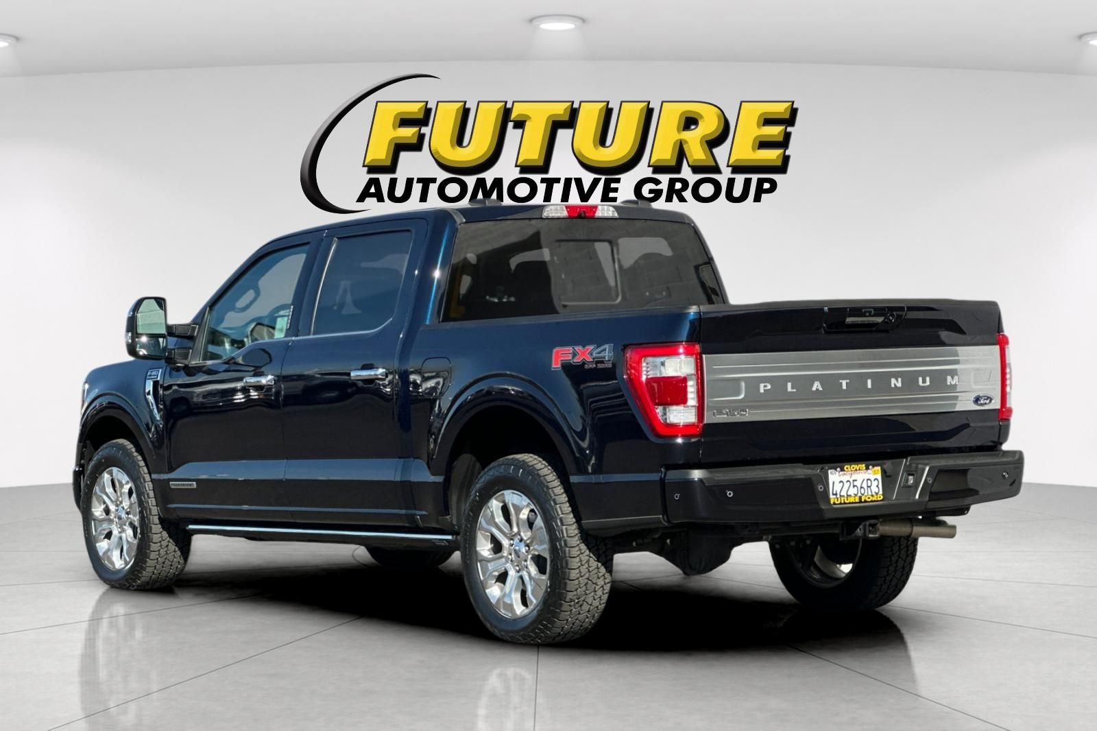 2022 Ford F-150 Platinum photo 4