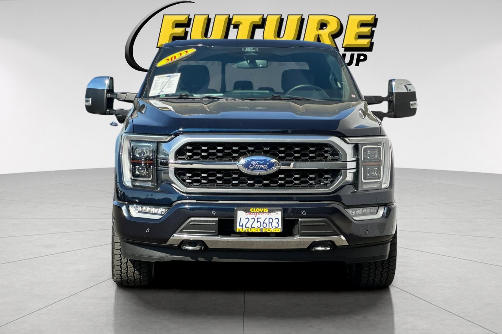 2022 Ford F-150 Platinum photo 3