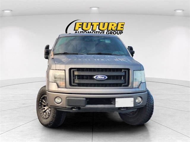 2013 Ford F-150 FX4 photo 2