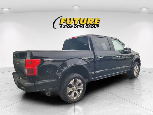 2019 Ford F-150 Platinum photo 3