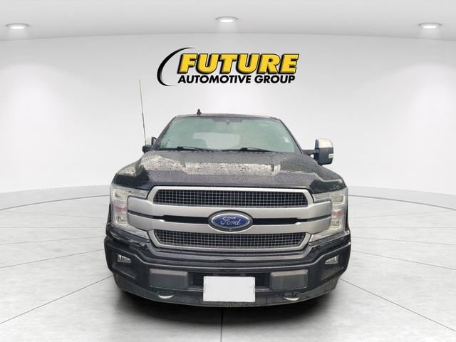 2019 Ford F-150 Platinum photo 2