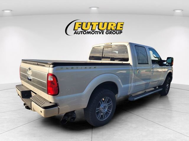 2015 Ford Super Duty F-250 SRW Platinum photo 3