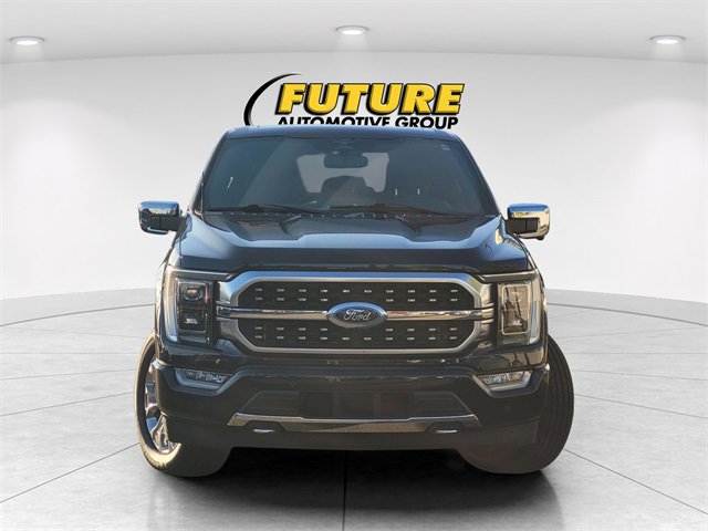 2023 Ford F-150 Platinum photo 2