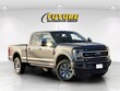 Ford Super Duty F-350 SRW