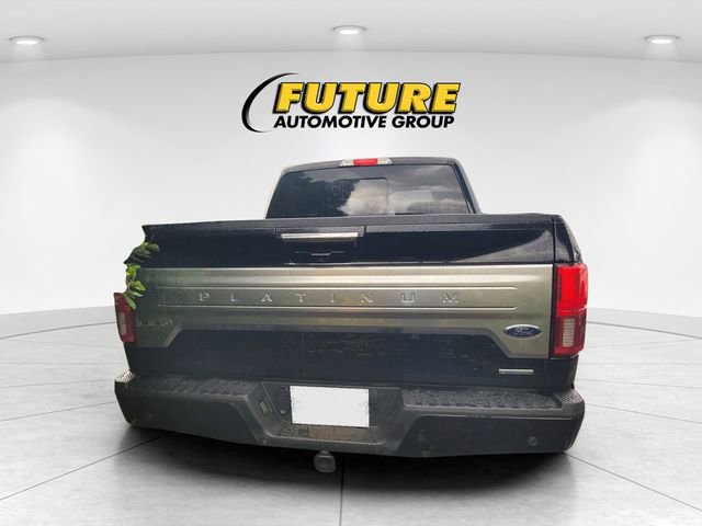 2019 Ford F-150 Platinum photo 4
