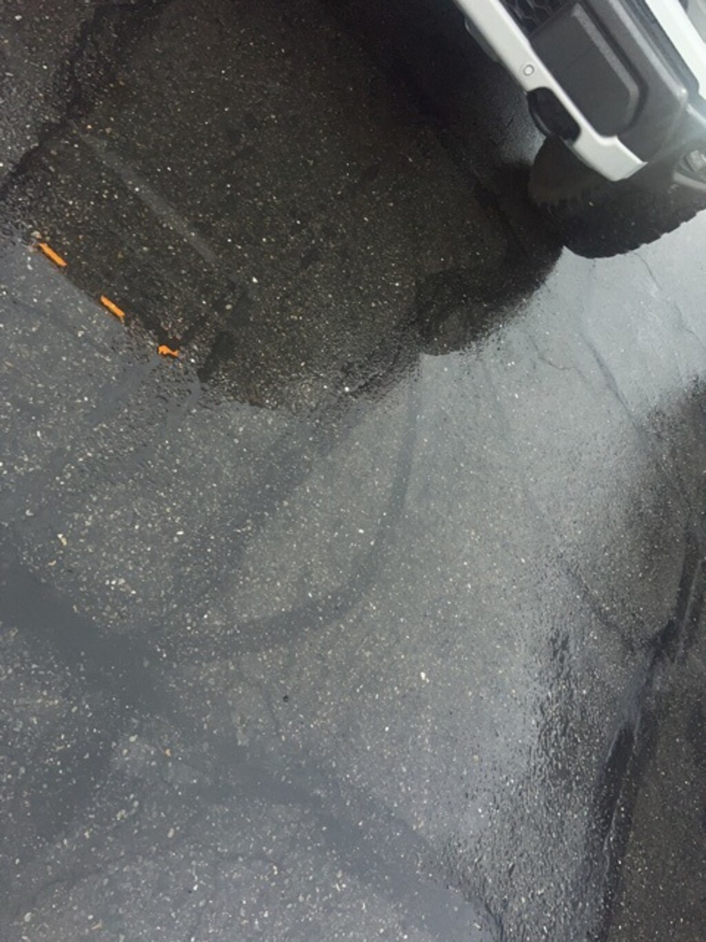 Certified 2022 Ford F-150 Raptor Truck