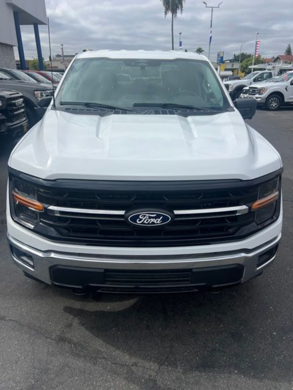 Used 2024 Ford F-150 XLT Truck