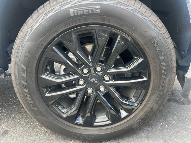 2025 Ford F-150 XLT photo 5