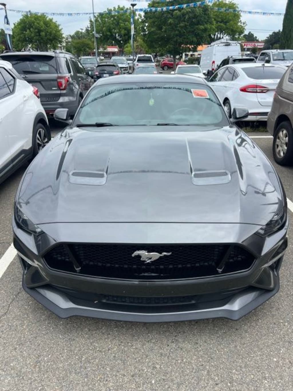 Used 2019 Ford Mustang GT Coupe