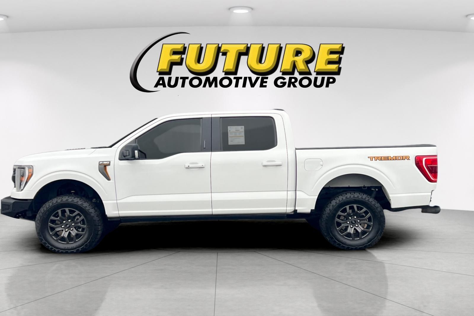 2022 Ford F-150 Tremor photo 6