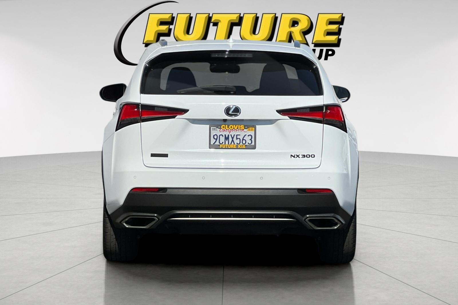 2019 Lexus NX 300 F SPORT photo 4