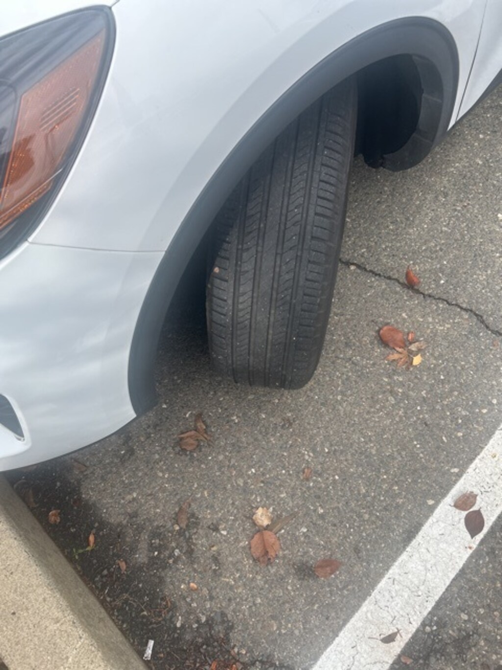 Used 2021 Ford Escape SE SUV