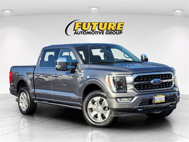 2021 Ford F-150 Platinum's photo
