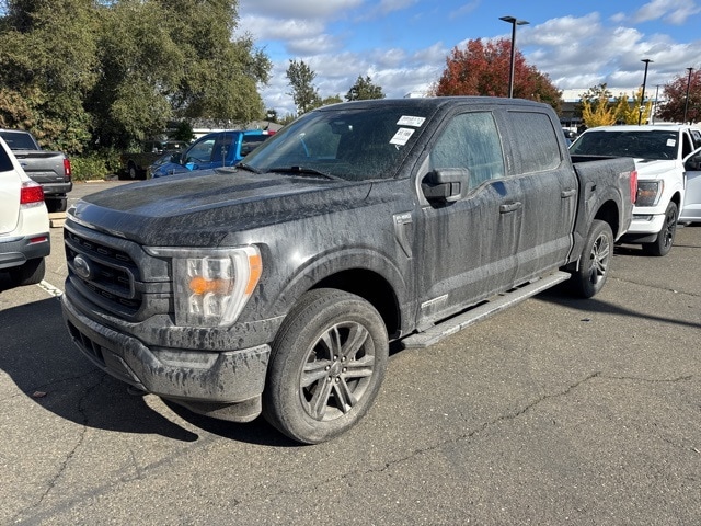 2022 Ford F-150 XLT's photo