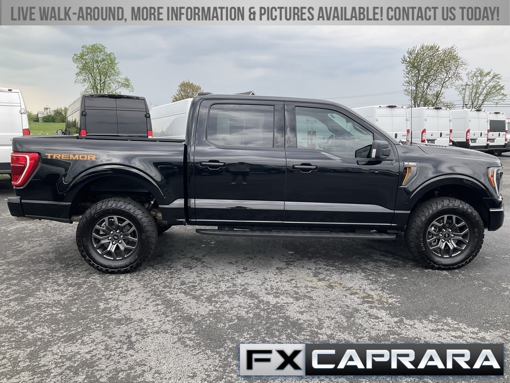 Used 2023 Ford F-150 Tremor with VIN 1FTEW1E81PFC44885 for sale in Alexandria Bay, NY